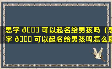 思字 🐕 可以起名给男孩吗（思字 💐 可以起名给男孩吗怎么取）